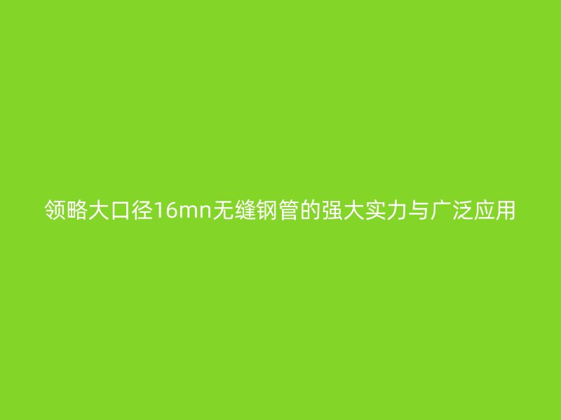 領(lǐng)略大口徑16mn無縫鋼管的強大實力與廣泛應(yīng)用
