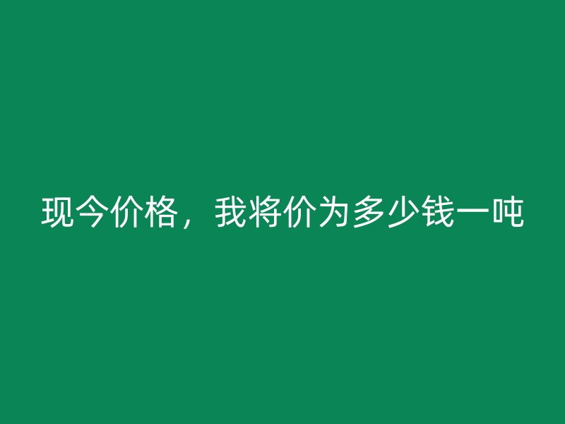 現(xiàn)今價(jià)格，我將價(jià)為多少錢一噸