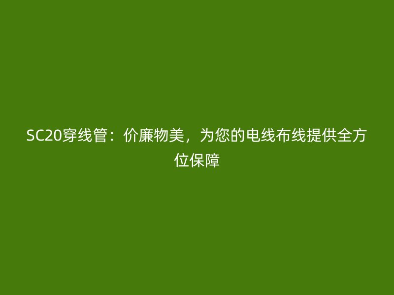 SC20穿線管：價廉物美，為您的電線布線提供全方位保障